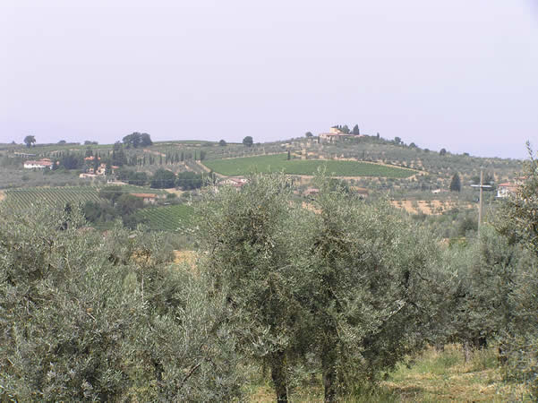 Paisaje, San Casciano in Val di Pesa. Autor y Copyright Marco Ramerini