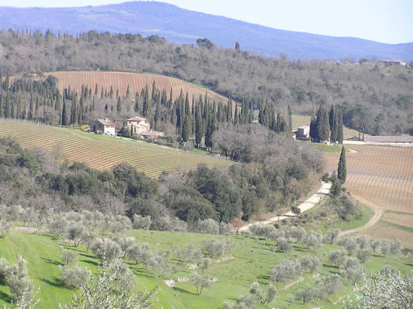 Campagna nei pressi di San Gusmè, Castelnuovo Berardenga, Siena. Author and Copyright Marco Ramerini
