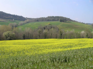Chianti in primavera, Barberino Val d'Elsa, Firenze. Autore e Copyright Marco Ramerini