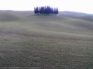 Diciembre, campo cerca de San Quirico d'Orcia, Val d'Orcia, Siena. Autor y Copyright Marco Ramerini