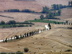 Luglio Campagna nei pressi di Pienza, Val d'Orcia, Siena. Autore e Copyright Marco Ramerini