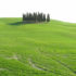 Marzo, campo cerca de San Quirico d'Orcia, Val d'Orcia, Siena. Autor y Copyright Marco Ramerini.