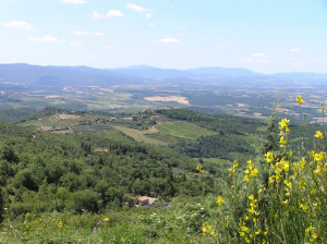 Panorama sur la route entre San Donato et Castellina in Chianti. Auteur et Copyright Marco Ramerini