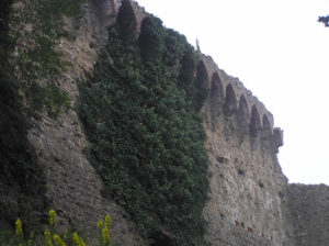 Dettaglio delle mura di Malmantile. Author and Copyright Marco Ramerini
