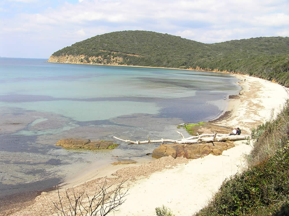 Cala Violina, Scarlino, Grosseto. Author and Copyright Marco Ramerini