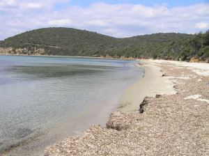 Cala Violina con los restos de algas Posidonia Oceánica dispersos a lo largo de la playa, Scarlino, Grosseto. Autor y Copyright Marco Ramerini