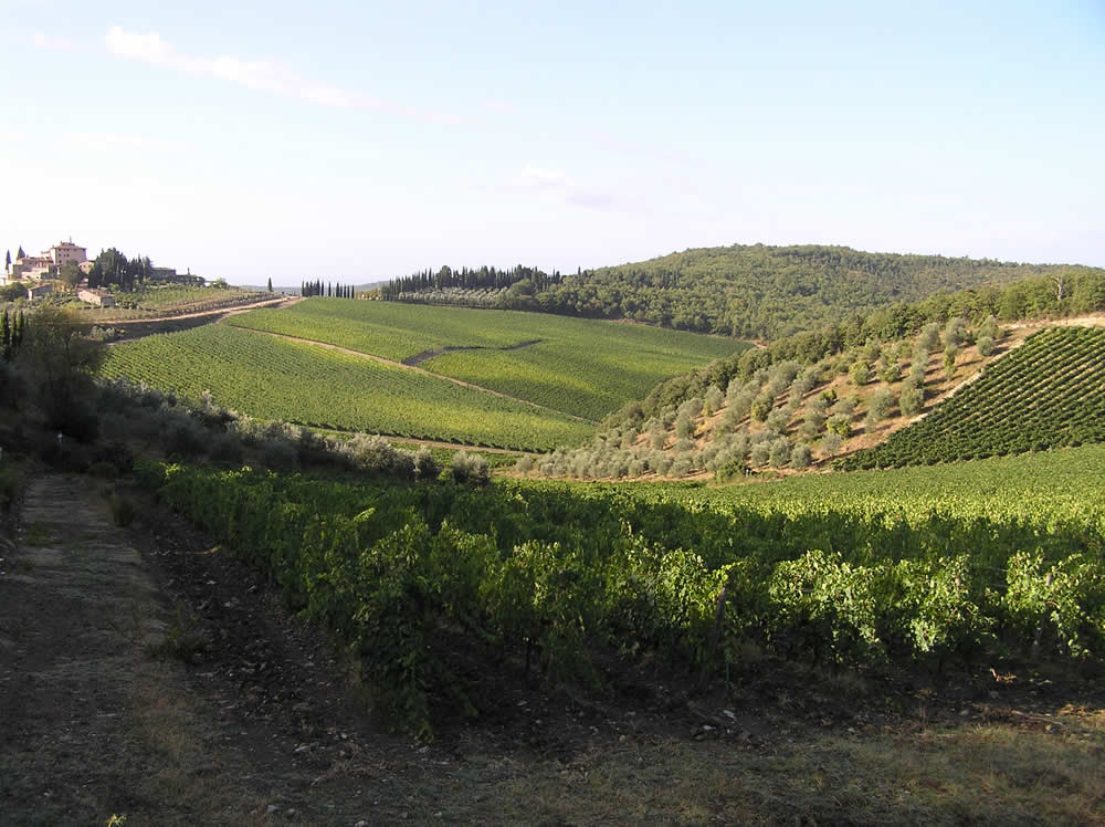 Campagne près de Radda in Chianti, Sienne. Auteur et Copyright Marco Ramerini