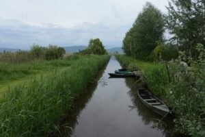 Canali, Padule di Fucecchio. Autore e Copyright Daniele Marchi.