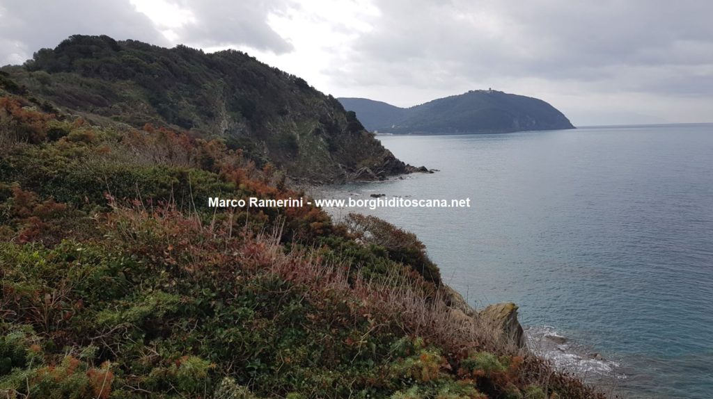 Passeggiata sul mare tra San Vincenzo e Baratti. La costa verso Populonia. Autore e Copyright Marco Ramerini