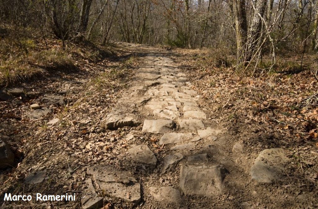 Il tratto più bello del selciato della strada tra La Paneretta e Cortine. Foto Marco Ramerini