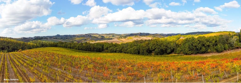 Colori dei vigneti nel Chianti nei pressi della Torre del Chito. Autore e Copyright Marco Ramerini.